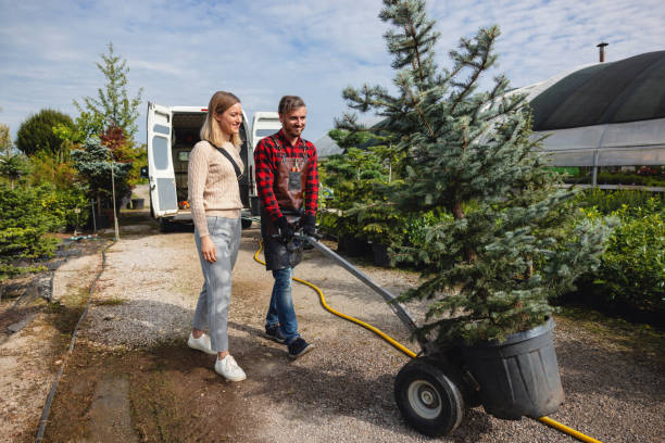 Berryville, VA Tree Care Services Company